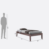 Minimal Solid Sheesham Wood Single Bed Without Storage (Walnut Finish)